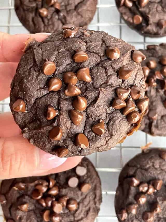 Double Chocolate Chip Protein Muffins