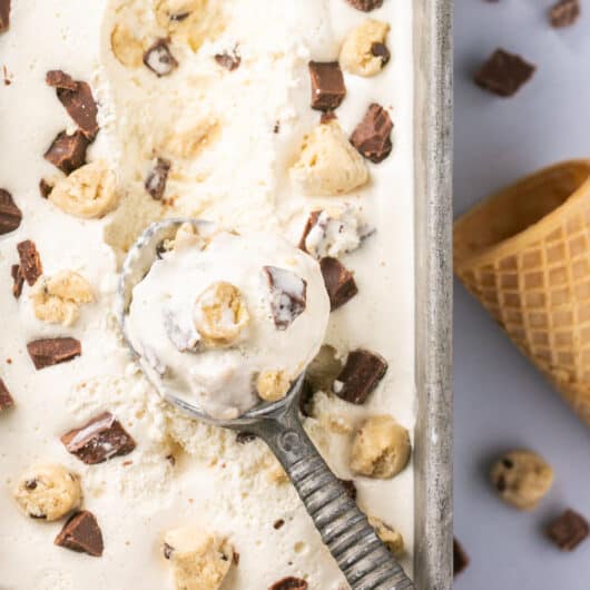 The Best Reese's Peanut Butter Ninja Creami Protein Ice Cream! Lauren