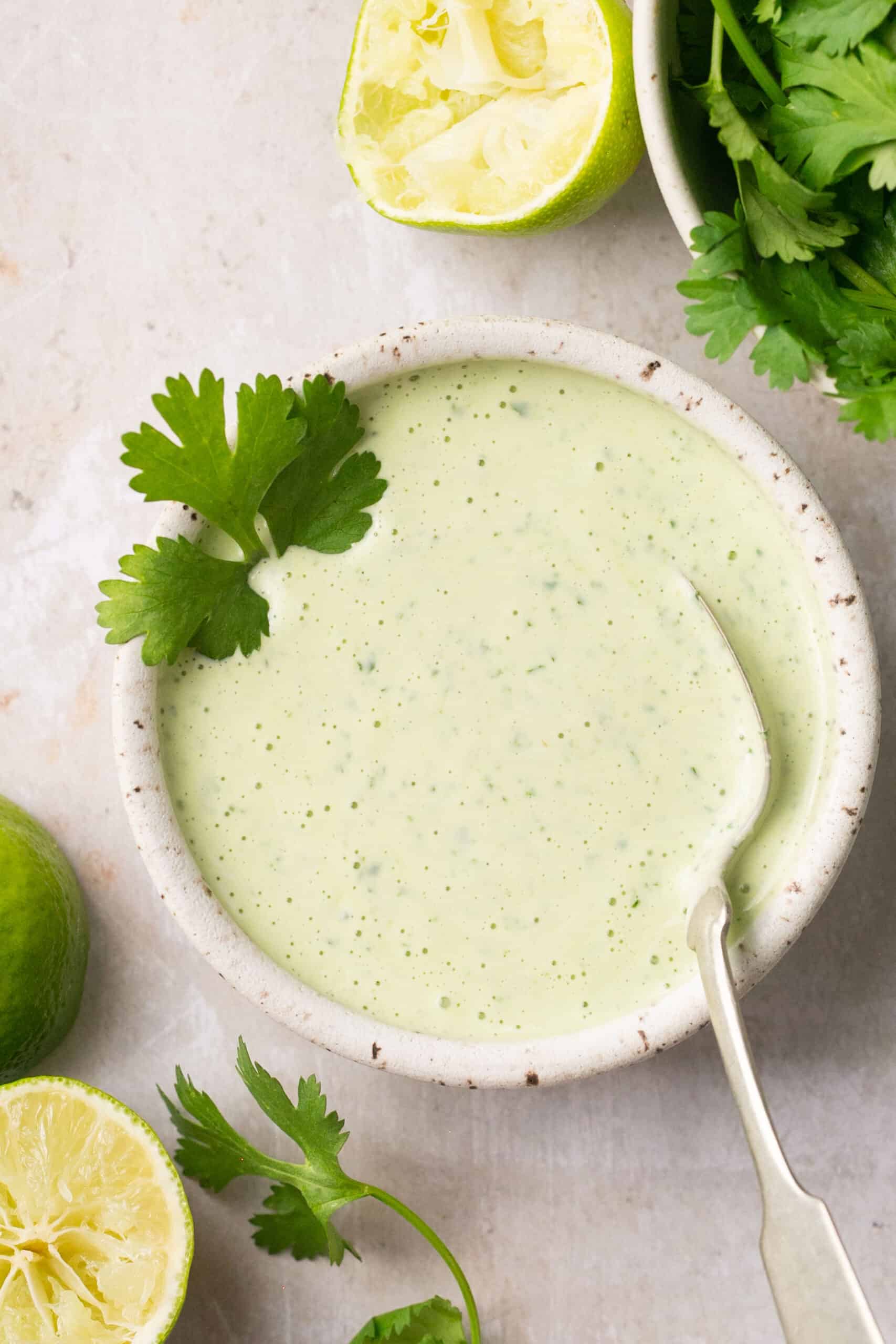 5-Ingredient Cilantro Blender Sauce Recipe