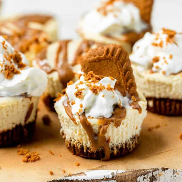 Biscoff cheesecakes on a tray.