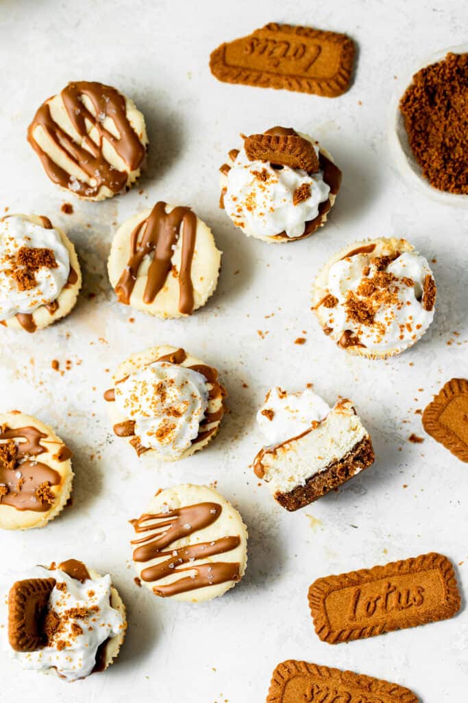 Mini biscoff cheesecakes and biscoff cookies.