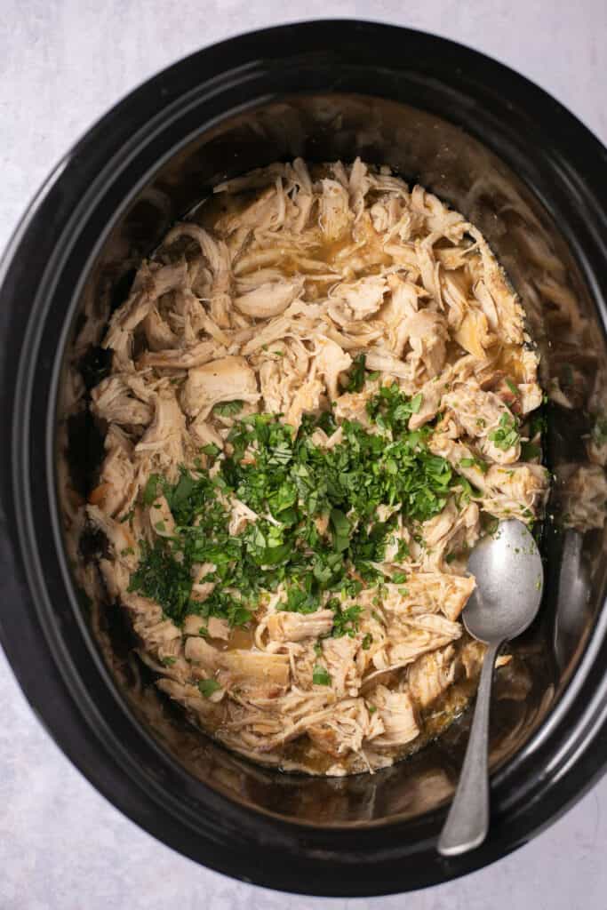 Shredded salsa verde chicken topped with cilantro in a slow cooker.