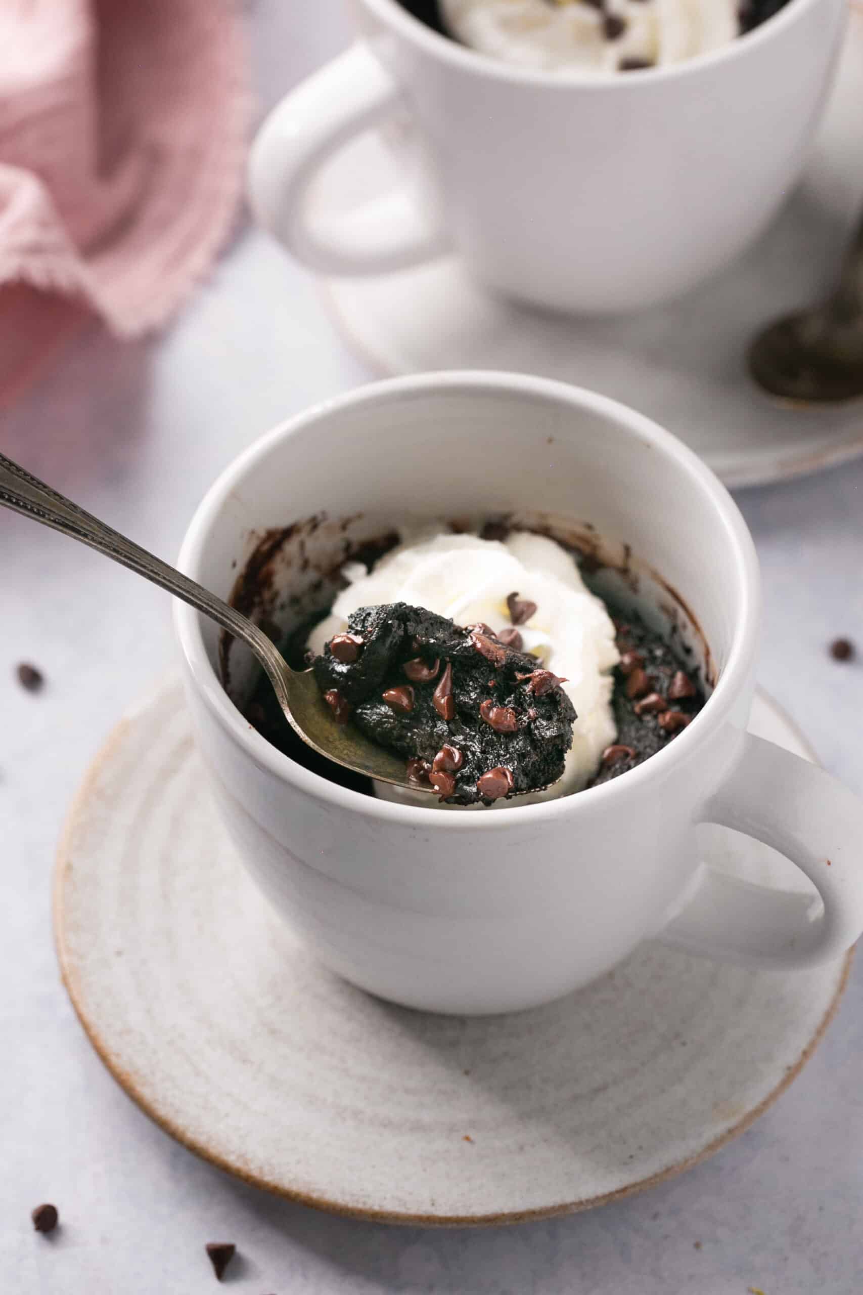 S'more Mug Cake - Kirbie's Cravings