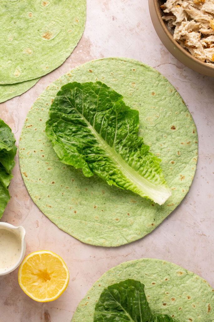 Spinach tortilla wrap with a leaf of romaine lettuce on top.