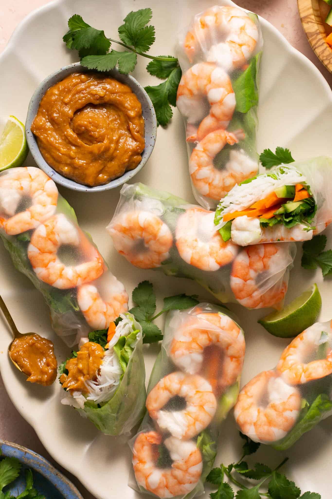 Vietnamese Summer Rice Paper Rolls with Peanut Dipping Sauce Lauren