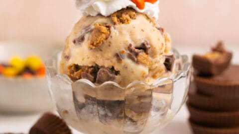 30 Ninja Creami Recipes🍦 - Savoring The Good®