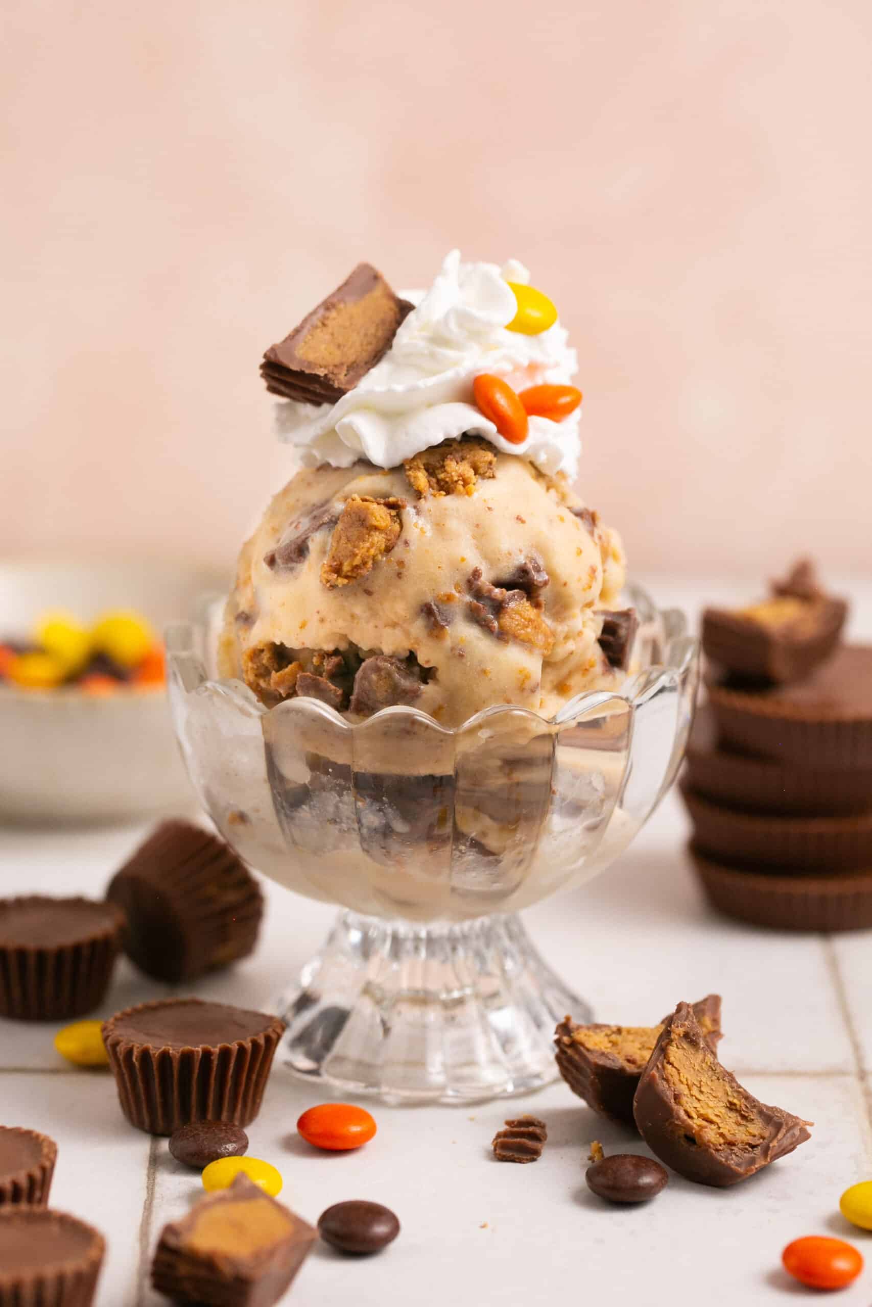 Peanut Butter Cup Ninja Creami Protein Ice Cream - Basics with Bails