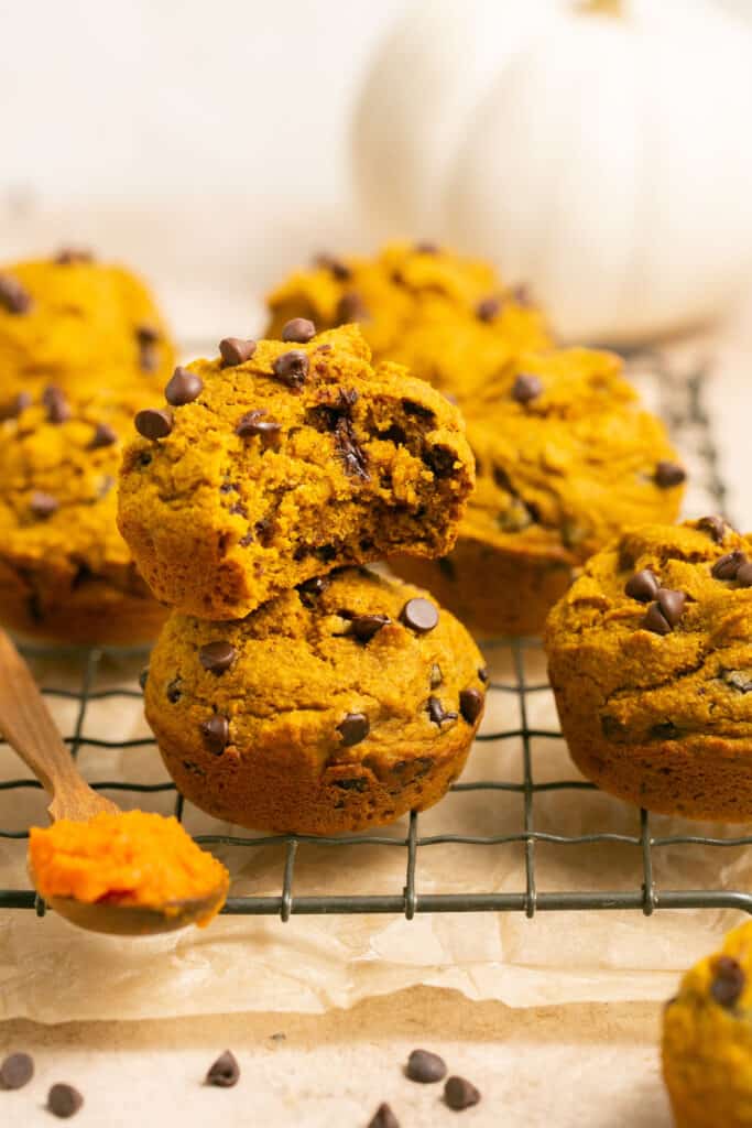 Healthy chocolate chip pumpkin muffins on a cooling rack.