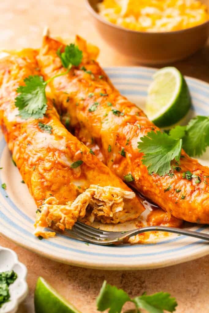 Two high protein chicken enchiladas topped with cilantro on a plate with a fork.