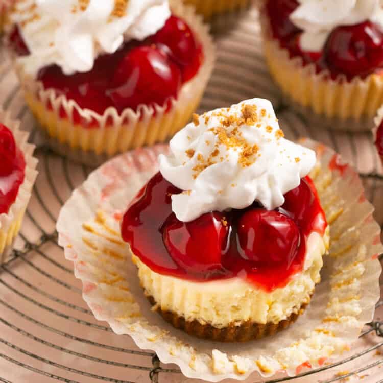 No bake mini cherry cheesecakes some topped with whippped topping and some without on a cooling rack.