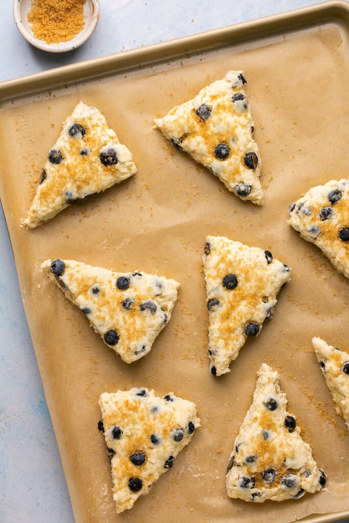 Blueberry greek yogurt scones on a baking sheet with parchment paper after being sprinkled with turbinado sugar before being baked.