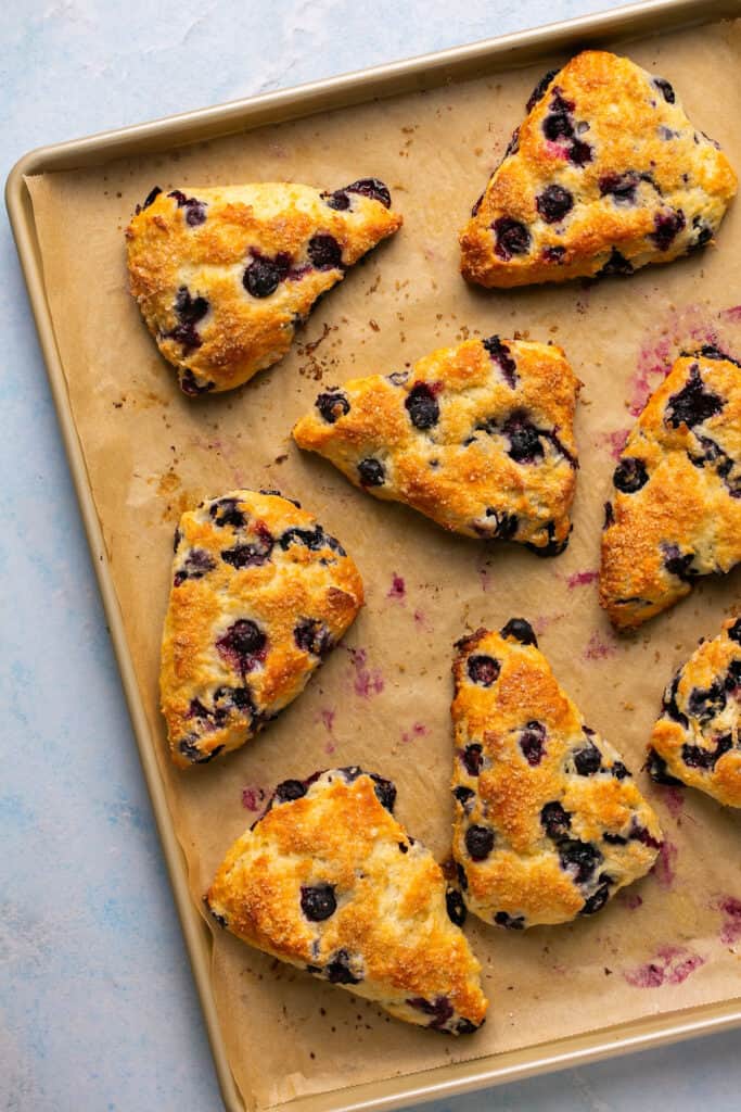 Blueberry greek yogurt scones on a baking sheet with parchment paper after being baked.