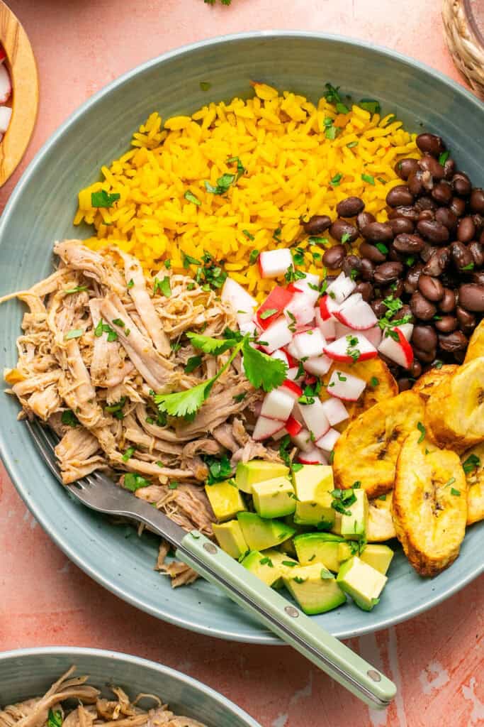 Pulled pork bowls topped with chopped radishes and plantains, avocado and cilantro.