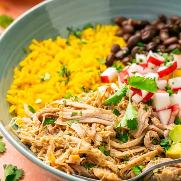 Cuban pulled pork in bowl topped with yellow rice, avocado, radishes and air fried plantains.