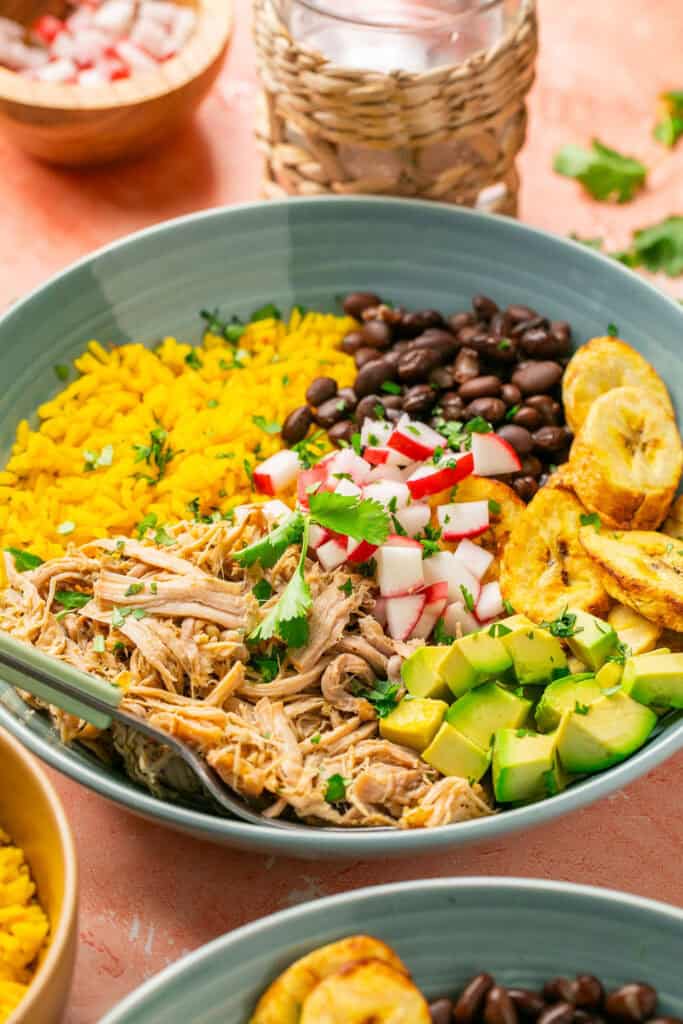 Pulled pork bowls topped with chopped radishes and plantains, avocado and cilantro.