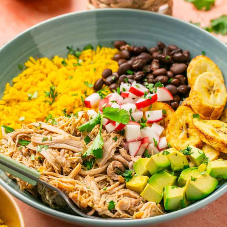 Pulled pork bowls topped with chopped radishes and plantains, avocado and cilantro.