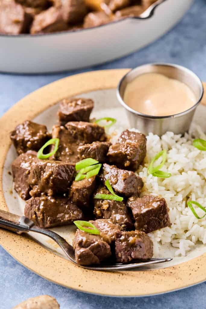Hibachi Steak with rice on a plate.